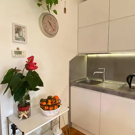 Gemelli Flower's House * Rome